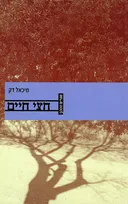 חצי חיים