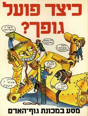כיצד פועל גופך?