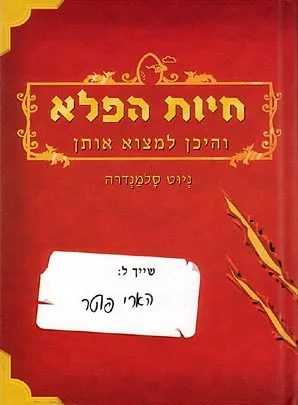 חיות הפלא והיכן למצוא אותן : התסריט המקורי