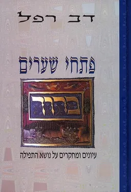 עטיפת הספר פתחי שערים מאת דב רפל