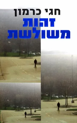 זהות משולשת