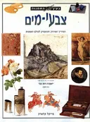 בעין האמנות