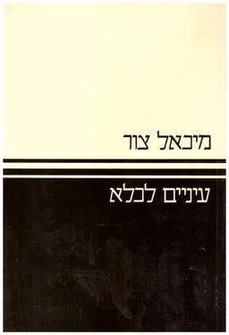 עיניים לכלא