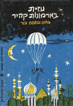 עזית בארמונות קהיר