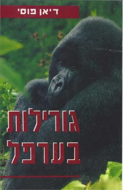 גורילות בערפל