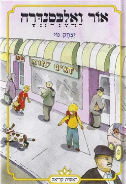 אור ואלכסנדרה