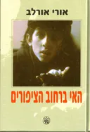 האי ברחוב הציפורים