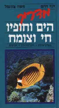 מדריך הים וחופיו : חי וצומח מפרץ אילת הים התיכון הכינרת
