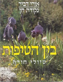 עטיפת הספר בין הטיפות: טיולי חורף מאת אורי דביר