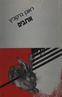 ארנבים