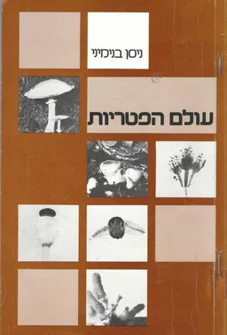 עולם הפטריות