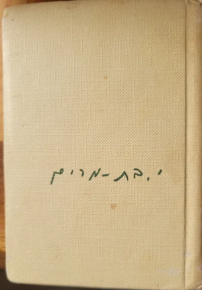 בין חול ושמש