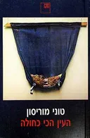 העין הכי כחולה