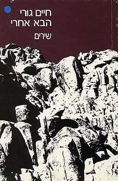 עטיפת הספר הבא אחרי מאת חיים גורי