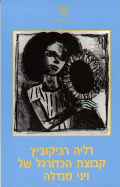 עטיפת הספר קבוצת הכדורגל של ויני מנדלה מאת דליה רביקוביץ