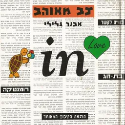 צב מאוהב