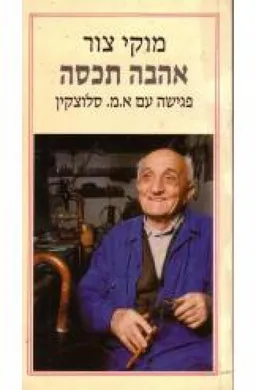 עטיפת הספר אהבה תכסה מאת מוקי צור