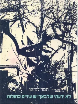 עטיפת הספר לא ידעתי שלבאך יש עיניים כחולות מאת תמר לנדאו