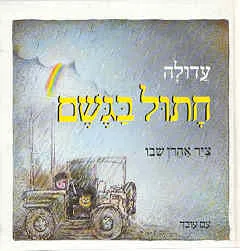 חתול בגשם