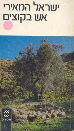 עטיפת הספר אש בקוצים מאת ישראל המאירי