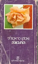 התבונה