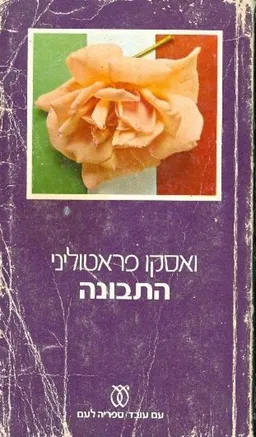 התבונה