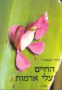 החיים עלי אדמות