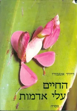 החיים עלי אדמות