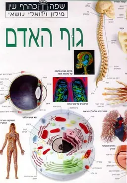 מילון ויזואלי: גוף האדם
