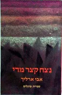 נצח קצר מדי : רומן