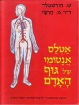 אטלס אנטומי של גוף האדם