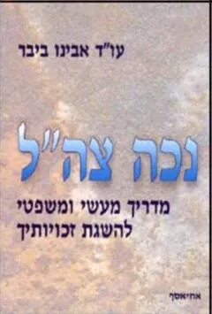 עטיפת הספר נכה צהל מאת ביבר אבינו