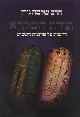 תורת המקרא - דרשות על פרשות השבוע