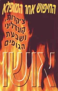 עטיפת החיפוש אחר המופלא