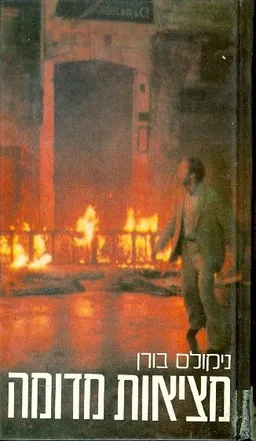 עטיפת הספר מציאות מדומה מאת ניקולס בורן