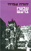 עכשיו ברעש