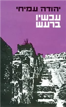 עטיפת עכשיו ברעש