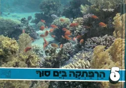 הרפתקה בים סוף