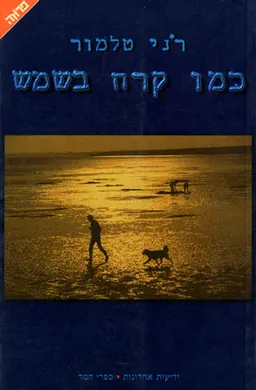 כמו קרח בשמש