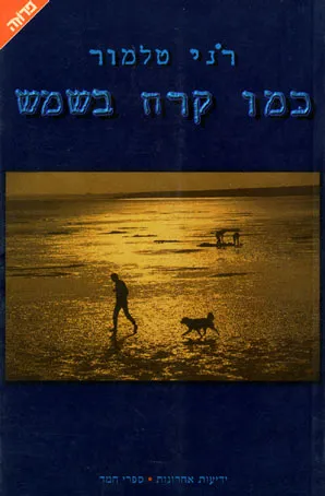 כמו קרח בשמש