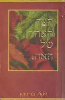 הצד האחר של האהבה
