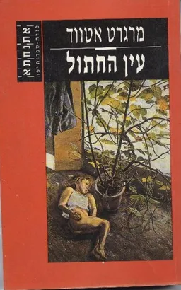 עין החתול