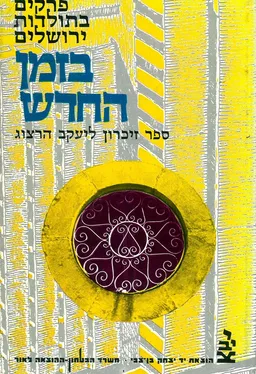 פרקים בתולדות ירושלים בזמן החדש