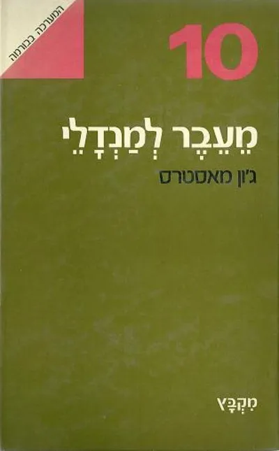 מעבר למנדלי : סיפור אישי