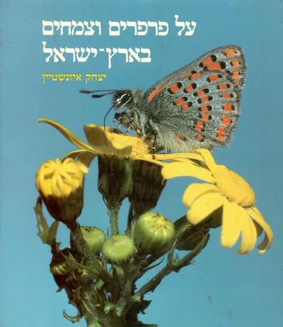 על פרפרים וצמחים בארץ ישראל