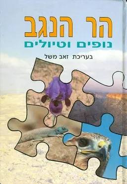 הר הנגב: נופים וטיולים