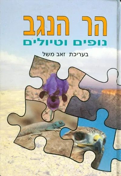 הר הנגב : חומר רקע לכנס