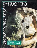 בתי כנסת קדומים בארץ ישראל