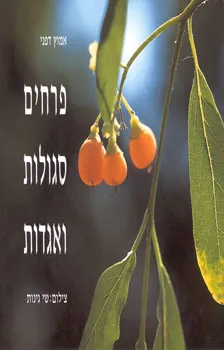 פרחים סגולות ואגדות
