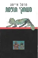 משחקי תופסת
